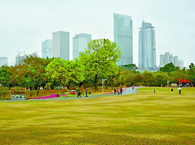 世界社会主义发展的中国智慧