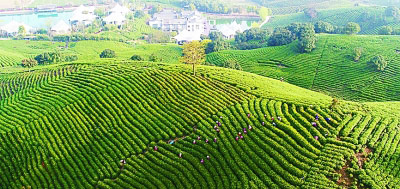 “绿水青山就是金山银山”发展理念的科学内涵