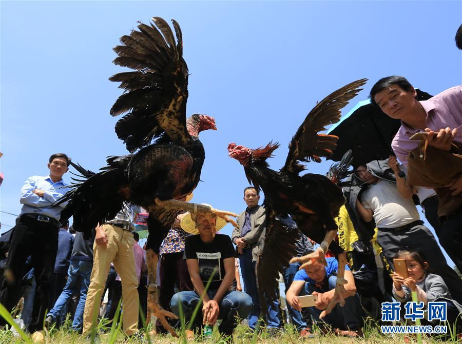 #（社会）（2）欢庆“三月三”